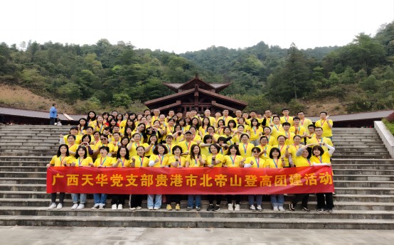 廣西天華黨支部赴貴港北帝山開(kāi)展登高郊游活動(dòng)